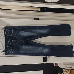 Daytrip Size 31 Long Jeans